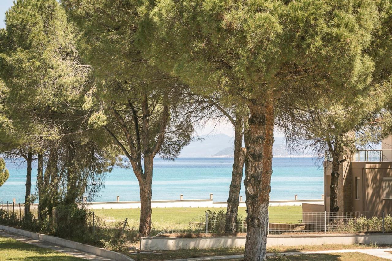 #Flh - Amalthia & Αthena Beachfront Houses In Pefkohori Esterno foto